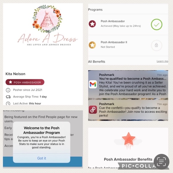 Meet your Posher, Kita - Picture 2 of 5